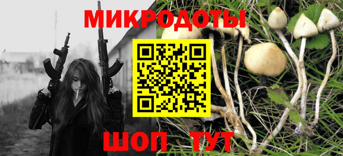 Псилоцибиновые грибы прущие грибы Тейково