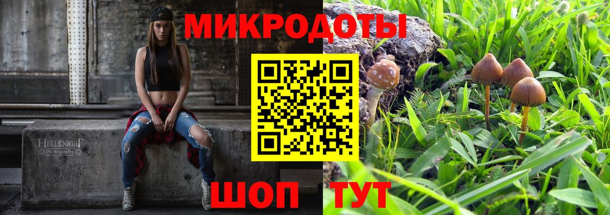 Тейково  Псилоцибиновые грибы прущие грибы  Вход с VPN 